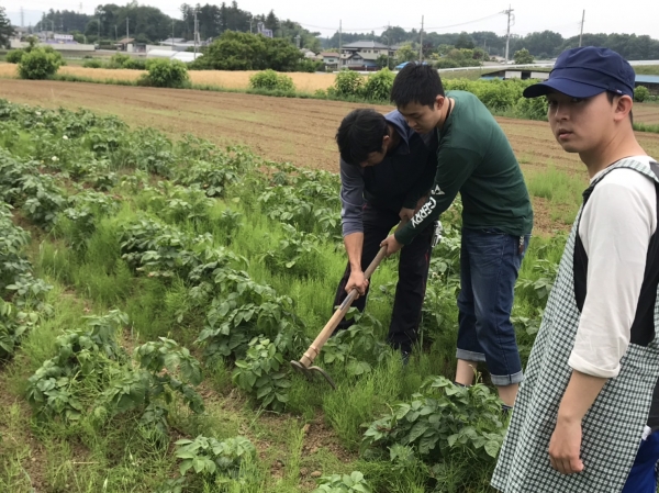 ♪♪夏野菜の収穫と料理体験♪♪(2019/6/2)イメージ0