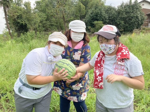 🍉スイカ収穫 ＆ スイカ割り🎵(2020/9/4)イメージ0