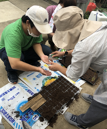 野菜の苗作り♪(2020/9/14)イメージ1