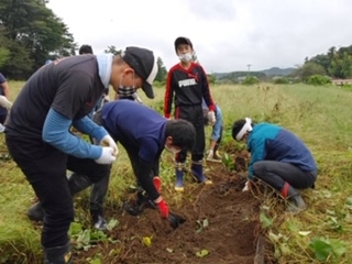 秋の味覚といえば・・・さつまいも❕❕❕(2020/9/27)イメージ1