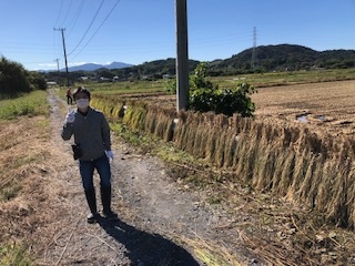 やっと晴れた！遅ればせながら稲刈り！(2020.10.25)イメージ0